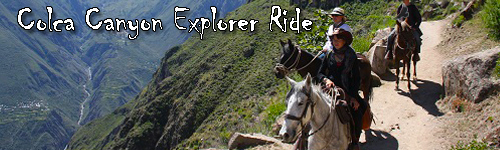 Colca Canyon Explorer Ride on Peruvian Pasos