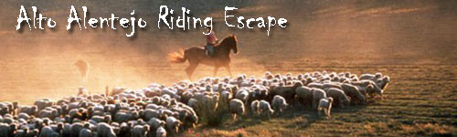 Alto Alentejo Riding Escape
