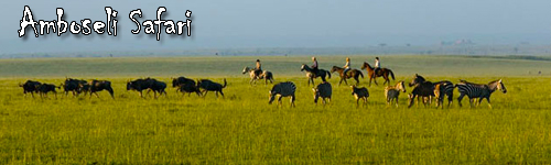 Amboseli Horse Safari