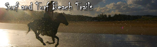 Wild Coast - Surf and Turf Safari