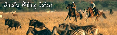 Dinaka Riding Safari