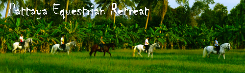 Pattaya Equestrian Retreat
