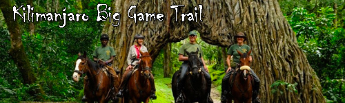 Kilimanjaro Big Game Trail