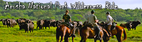Migration Riding Safari