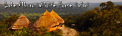 Lake Mburo Wildlife Horse Safari