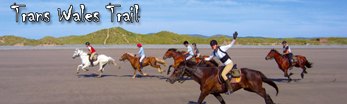 Trans Wales Trail