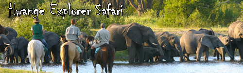 Hwange Explorer Safari