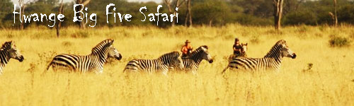 Hwange Big Five Safari