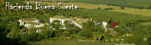 Hacienda Buena Suerte