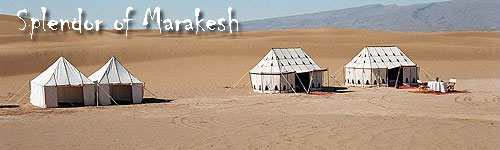 Splendor of Marakesh