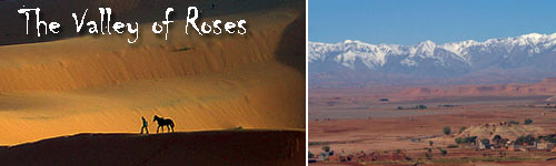 The Valley of Roses