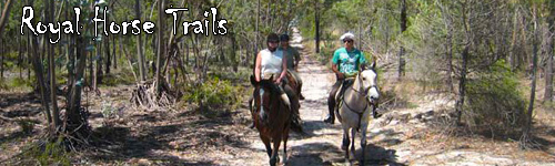 Royal Horse Trails