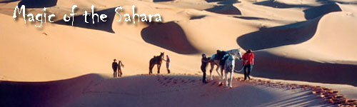 Magic of the Sahara