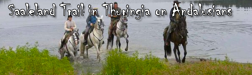 Trails in Thuringia on Andalusians