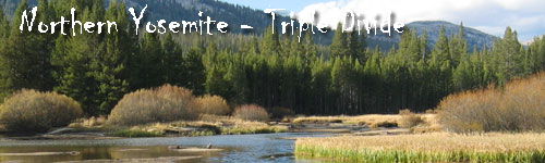 Northern Yosemite Pack Trip
