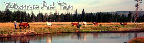 Yellowstone Pack Trips