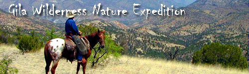 Gila Wilderness Nature Expedition
