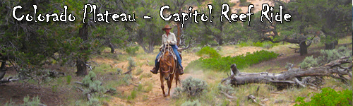 Colorado Plateau - Capitol Reef Ride