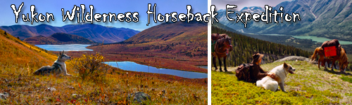 Yukon Wilderness Horseback Expedition