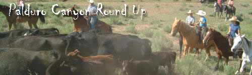 Panhandle Texas Cattle Round Up