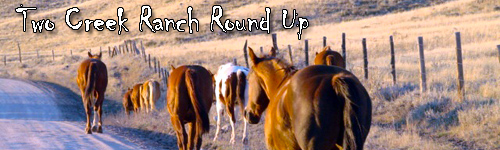Two Creek Ranch Round Up