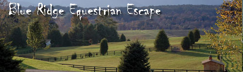 Blue Ridge Equestrian Escape
