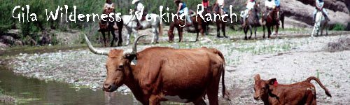 Gila Wilderness Working Ranch