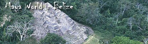 Maya World