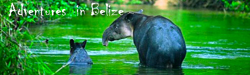 Adventures  in Belize