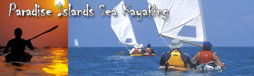 Paradise Islands Sea Kayaking