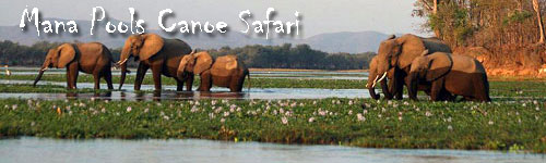 Canoe Safari from Chirundu to Mana Pools