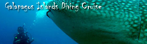 Galapagos Islands  Diving Cruise