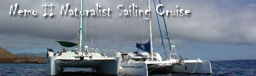 Nemo Naturalist Sailing Cruise