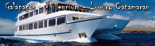 Millennium - Luxury Catamaran