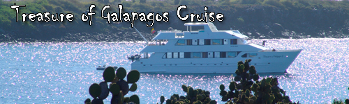 Treasure of Galapagos Cruise