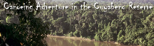 Canoeing Adventure in the Cuyabeno Wildlife Reserve