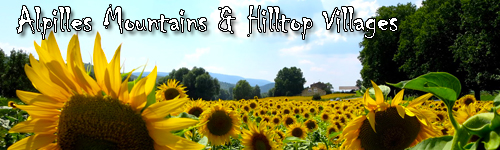 Alpilles Mountains & Hilltop Villages