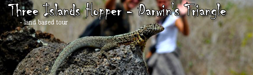 Three Islands Hopper - Darwin