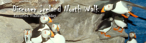 Discover Ireland North Walk