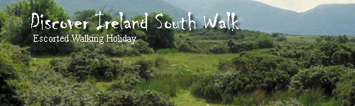 Discover Ireland South Walk
