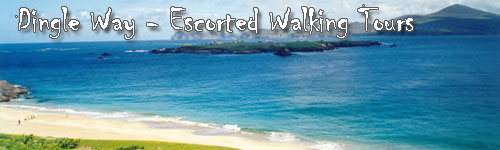 Dingle Way - Escorted Walking Tour