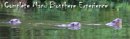 Complete Manu Biosphere Reserve Experience