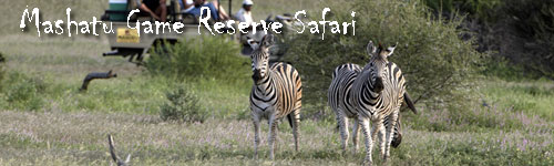Mashatu Game Reserve Safari