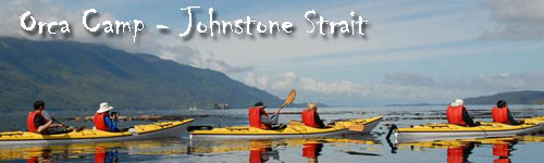 Orca Camp - Johnstone Strait
