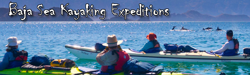 Baja Sea Kayaking Expeditions