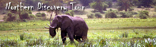 Northern Discovery Tour