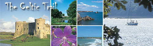 The Celtic Trail