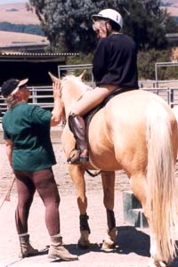 Horse riding equestrian clinics