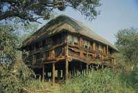 uyaphi safaris - edeni safari lodge - northern province