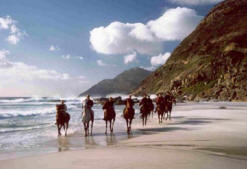 Noordhoek